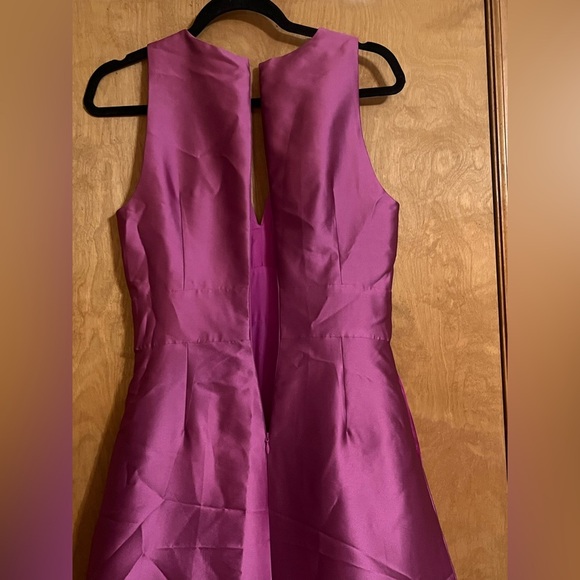 Sachin and Babi Elegant Dress - Picture 13 of 16